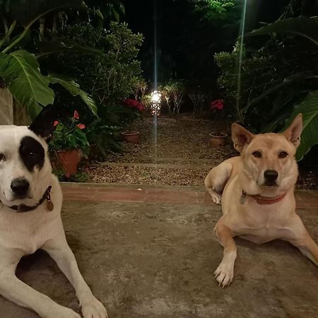 Doi Saket Villa Albizia, Chiang Mai מראה חיצוני תמונה