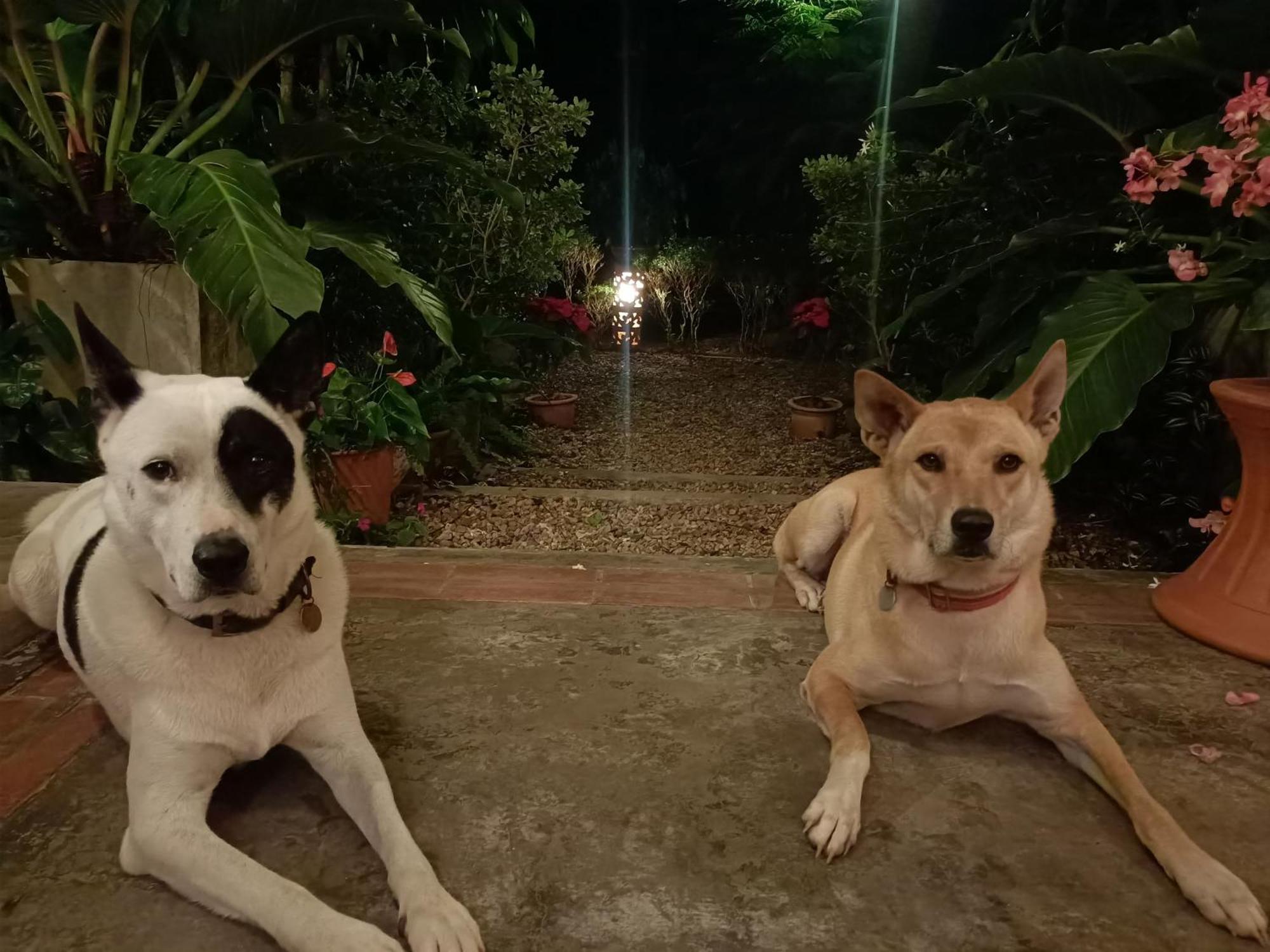 Doi Saket Villa Albizia, Chiang Mai מראה חיצוני תמונה