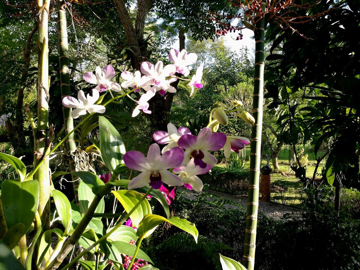 Doi Saket Villa Albizia, Chiang Mai מראה חיצוני תמונה