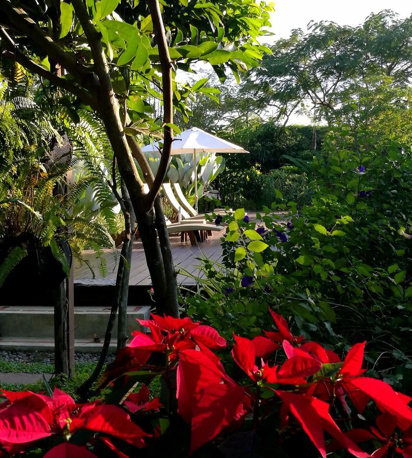 Doi Saket Villa Albizia, Chiang Mai מראה חיצוני תמונה